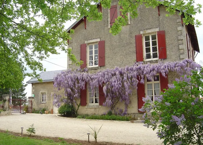 Les Vieilles Vignes