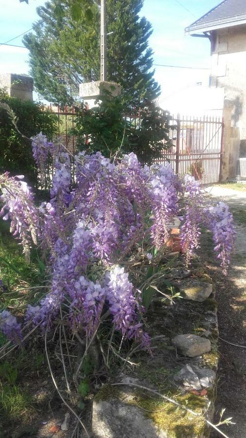 Les Vieilles Vignes Guest house Thorigne